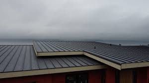 Fast & Reliable Emergency Roof Repairs in Reedurban, OH